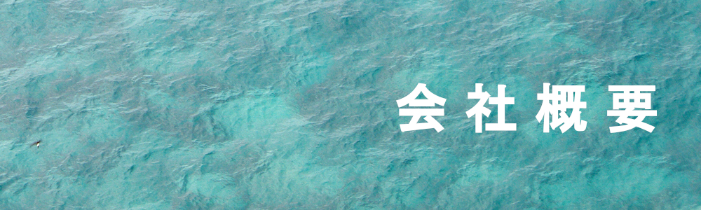 会社概要